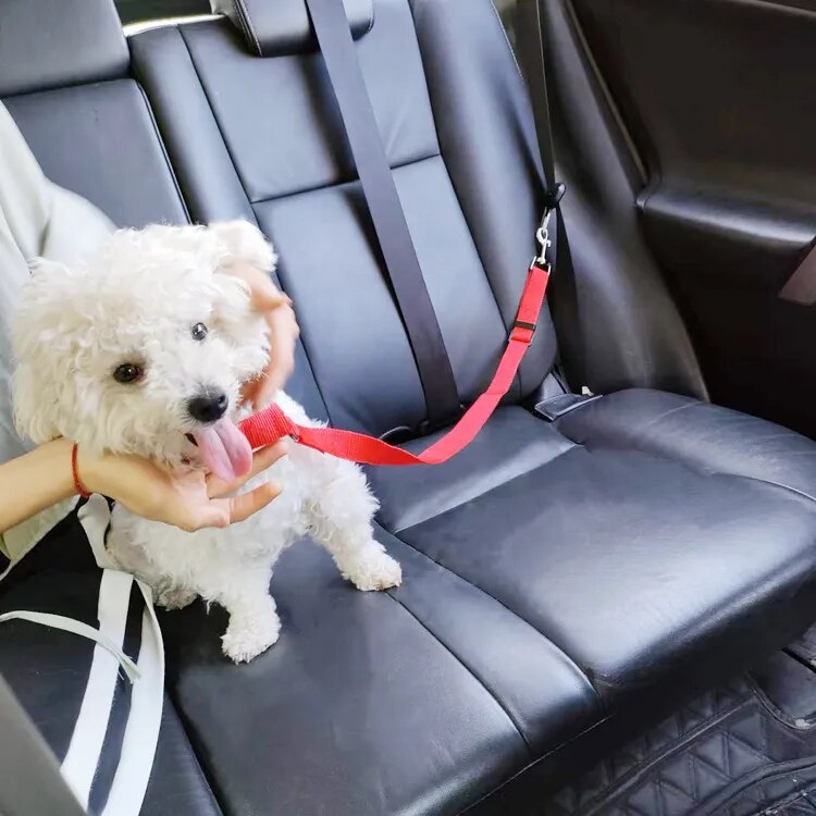 Solid Two-in-one Pet Car BackSeat Adjustable Belt / Harness
