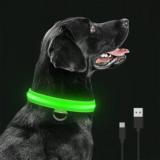 LED Glowing Pet Collars - Waterproof, Luminous, Adjustable / USB Rechargeable or Battery Driven